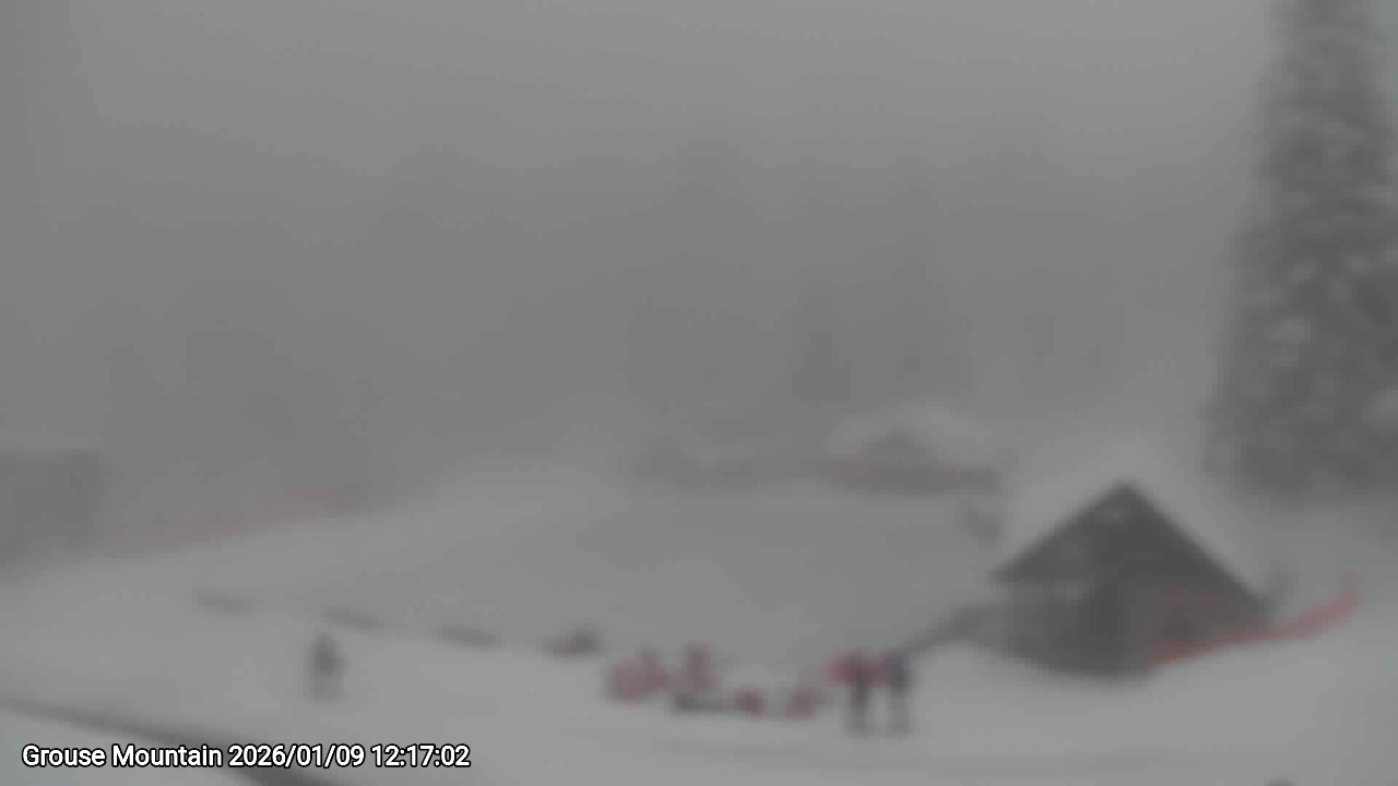 Webcam frame from Grouse Mountain at 2026/01/09 12:00