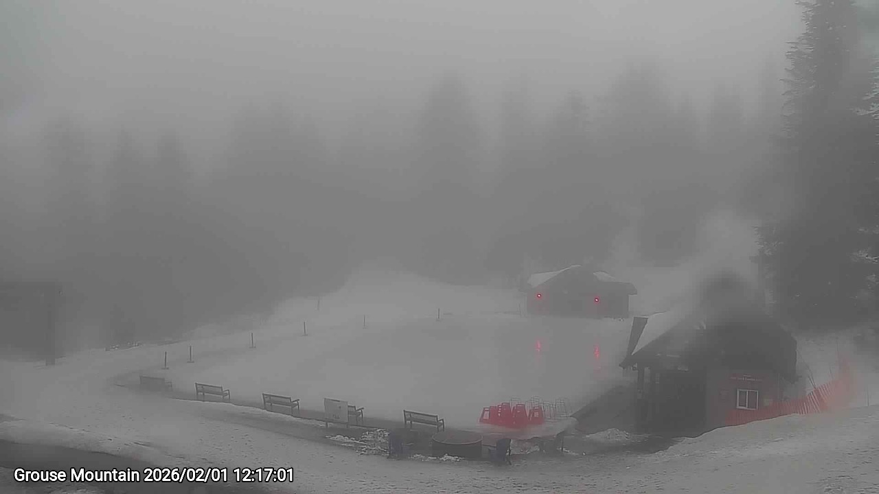 Webcam frame from Grouse Mountain at 2026/02/01 12:00