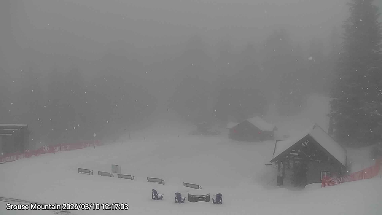 Webcam frame from Grouse Mountain at 2026/03/10 12:00