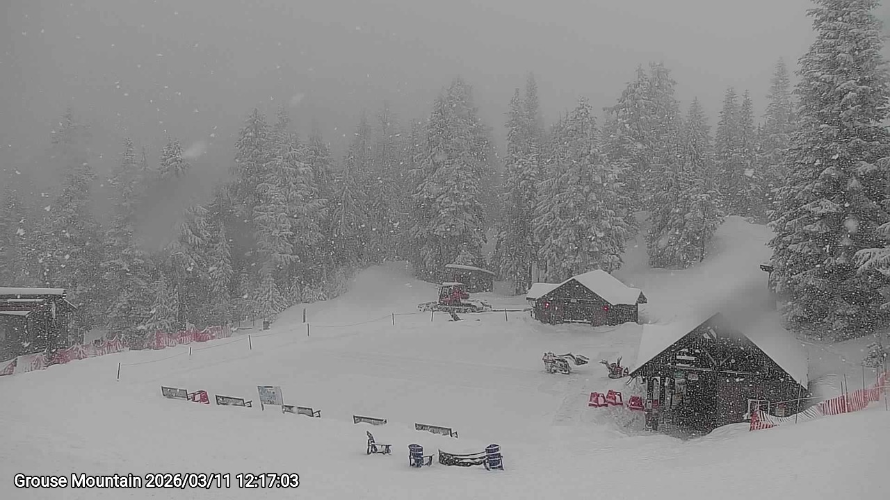 Webcam frame from Grouse Mountain at 2026/03/11 12:00