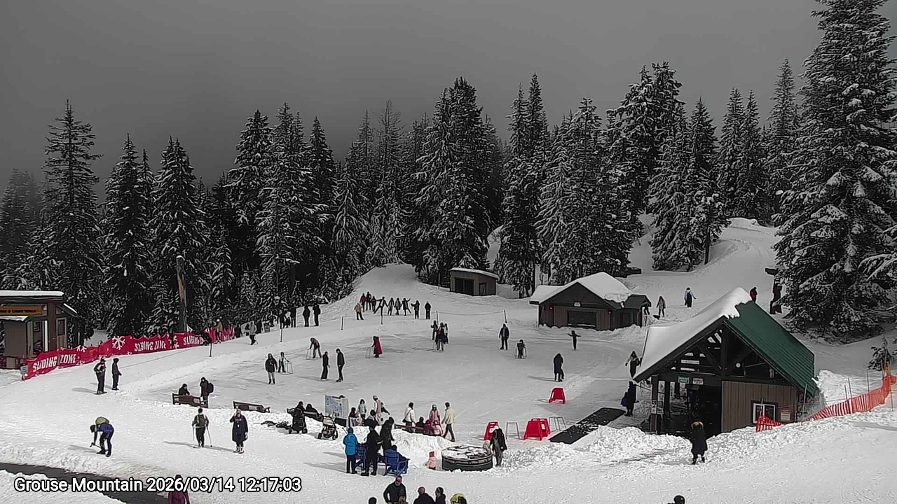 Webcam frame from Grouse Mountain at 2026/03/14 12:00