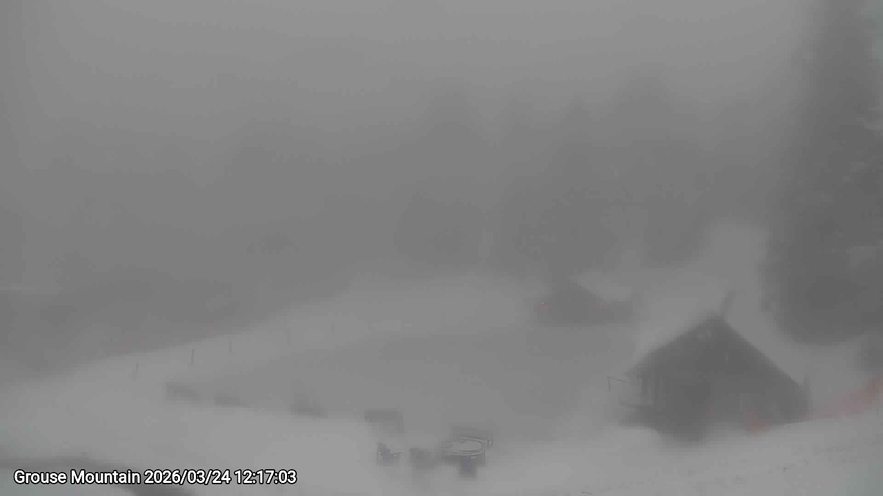 Webcam frame from Grouse Mountain at 2026/03/24 12:00