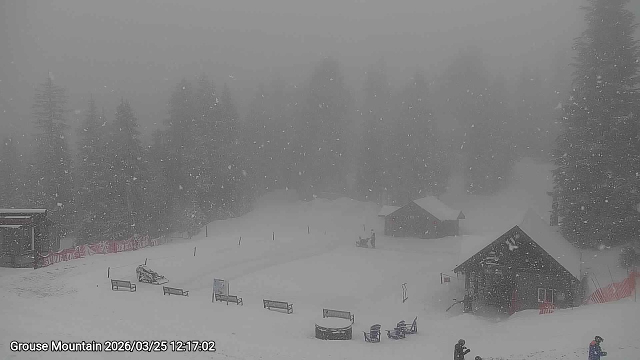 Webcam frame from Grouse Mountain at 2026/03/25 12:00