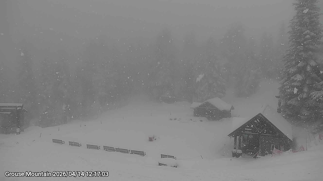 Webcam frame from Grouse Mountain at 2026/04/14 12:00