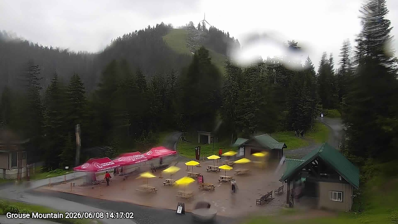 Webcam frame from Grouse Mountain on 2026/06/08