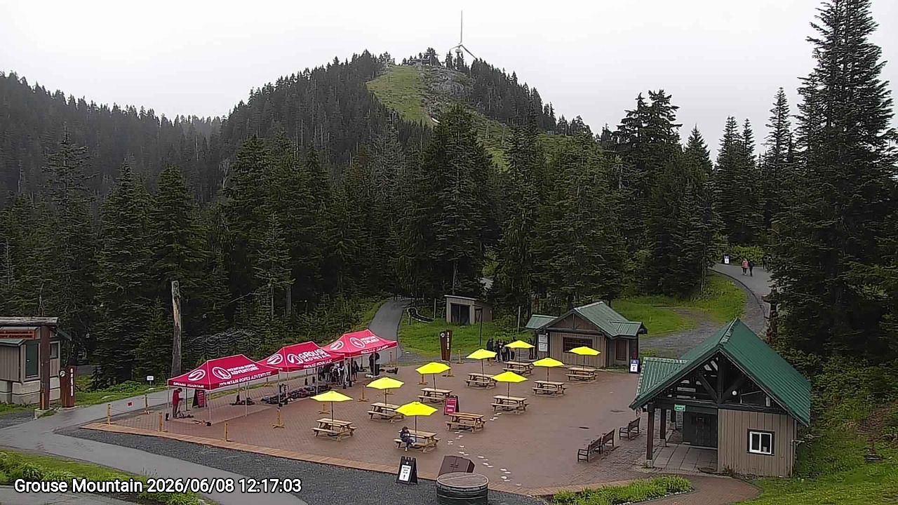 Webcam frame from Grouse Mountain at 2026/06/08 12:00