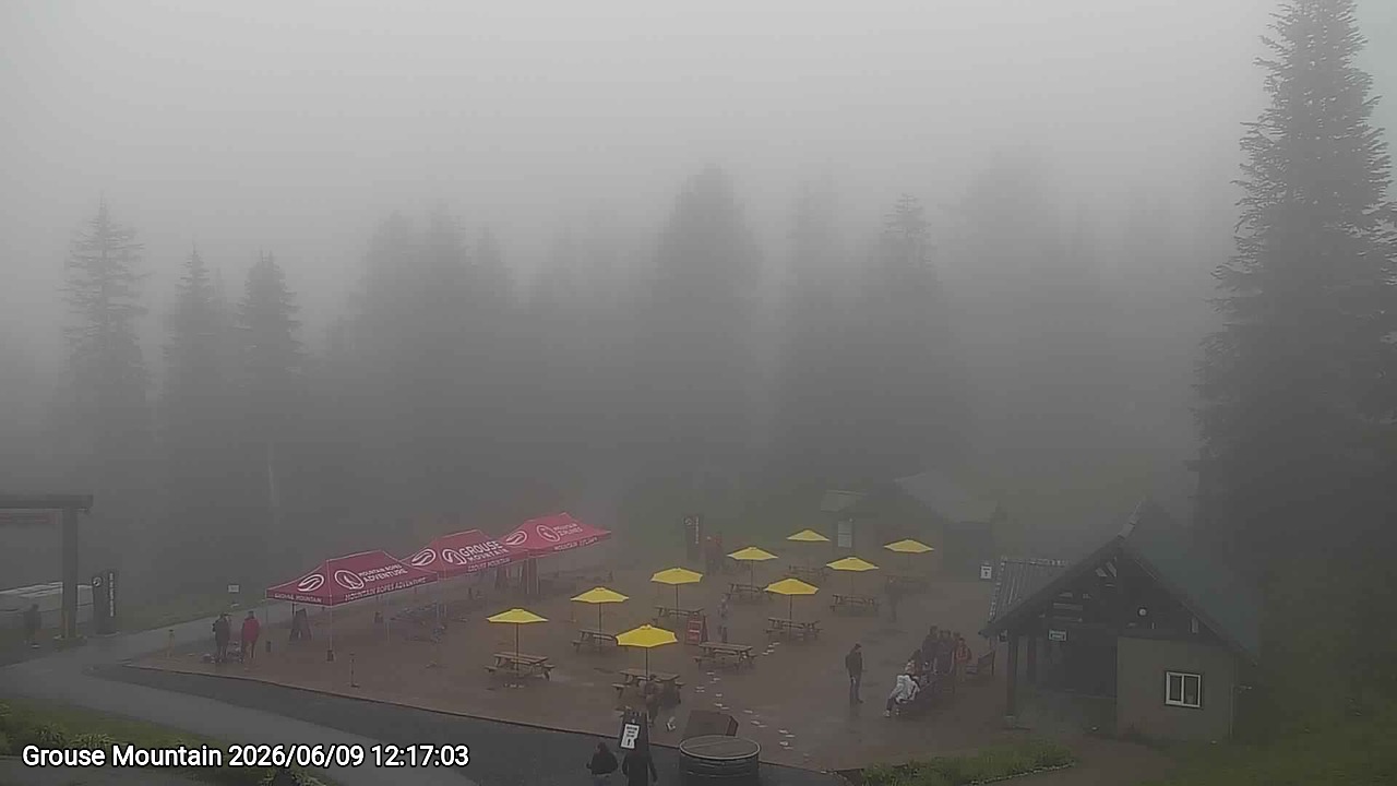 Webcam frame from Grouse Mountain at 2026/06/09 12:00