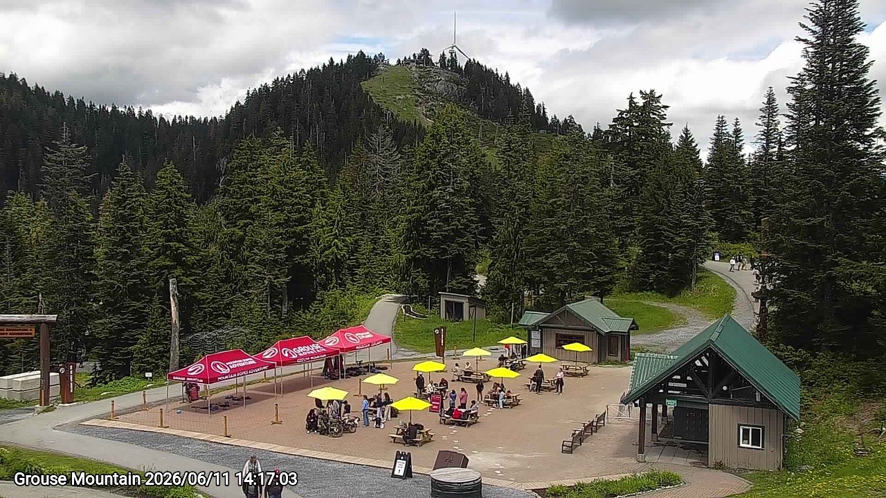 Webcam frame from Grouse Mountain on 2026/06/11