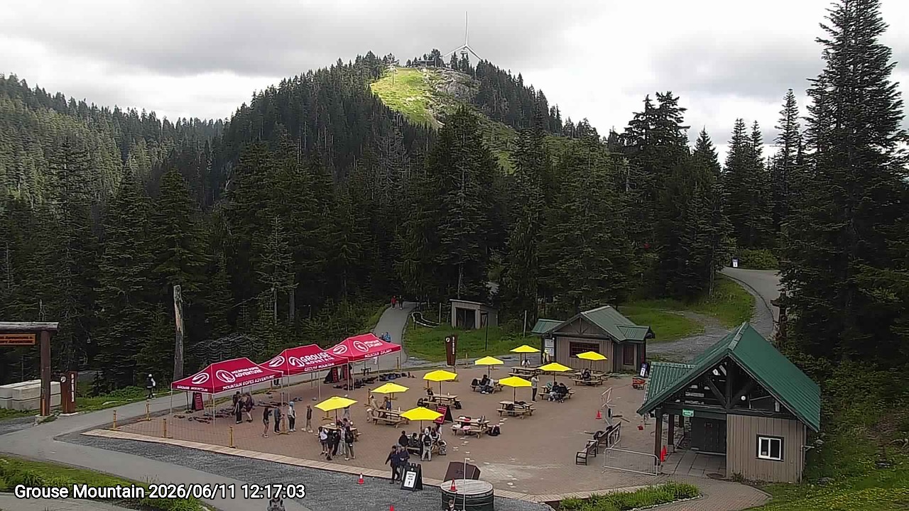 Webcam frame from Grouse Mountain at 2026/06/11 12:00