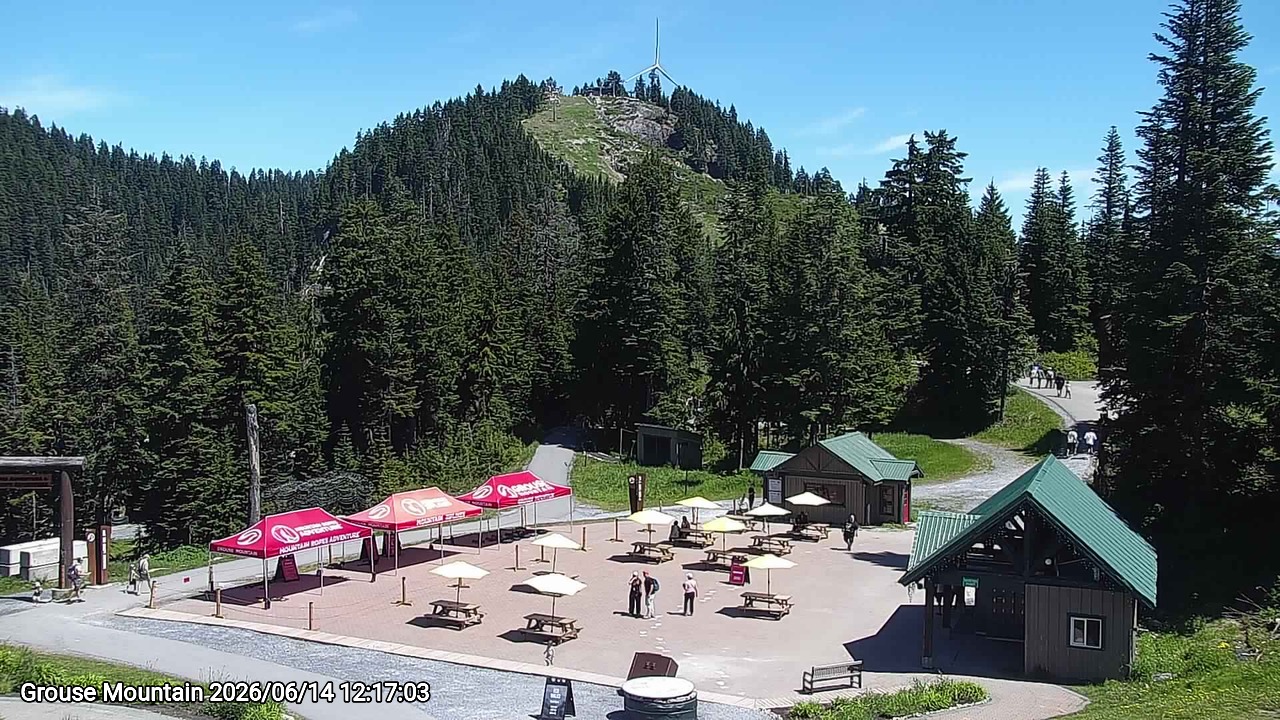 Webcam frame from Grouse Mountain at 2026/06/14 12:00