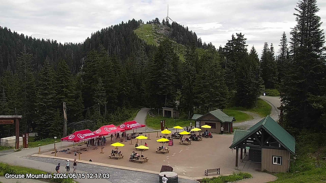 Webcam frame from Grouse Mountain at 2026/06/15 12:00