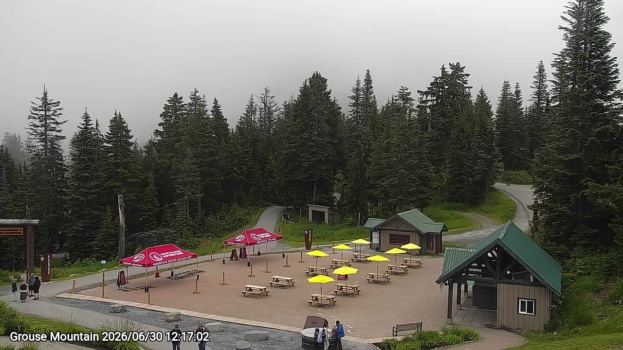 Webcam frame from Grouse Mountain at 2026/06/30 12:00