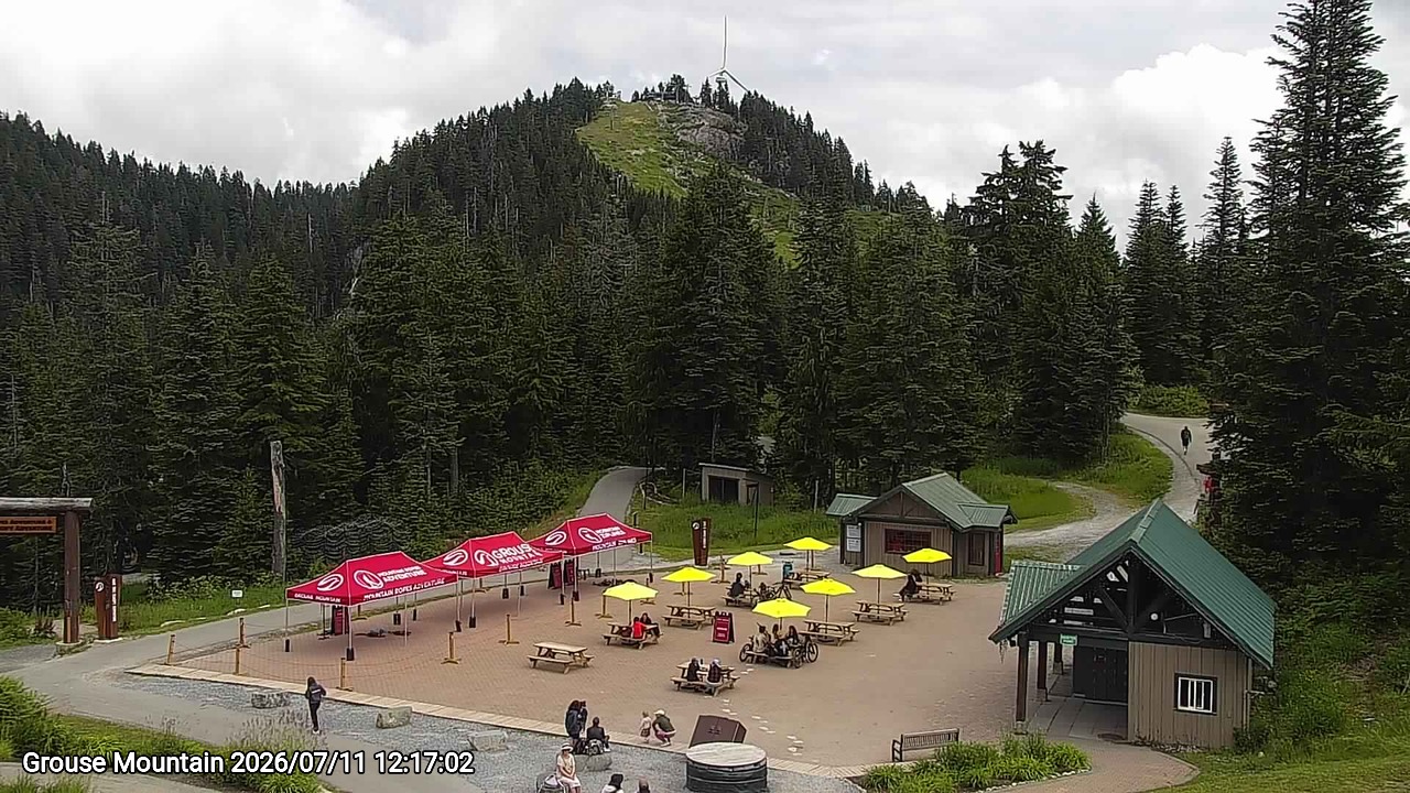 Webcam frame from Grouse Mountain at 2026/07/11 12:00