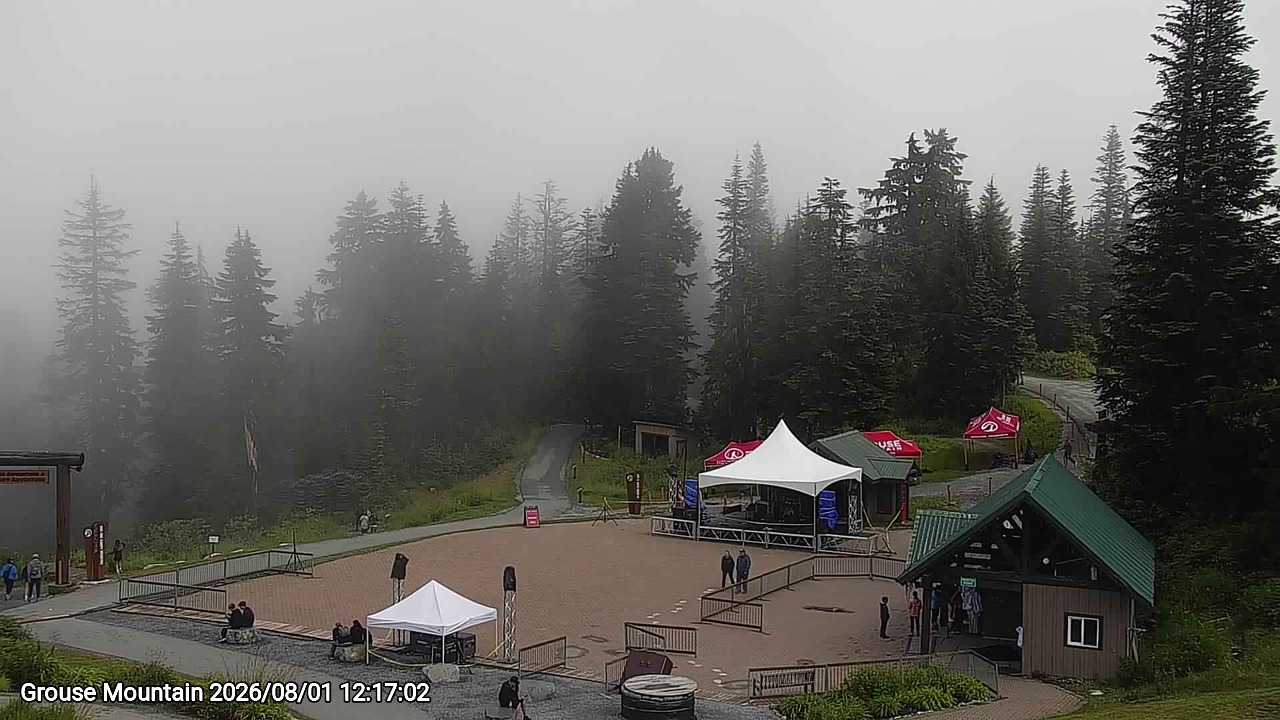 Webcam frame from Grouse Mountain at 2026/08/01 12:00