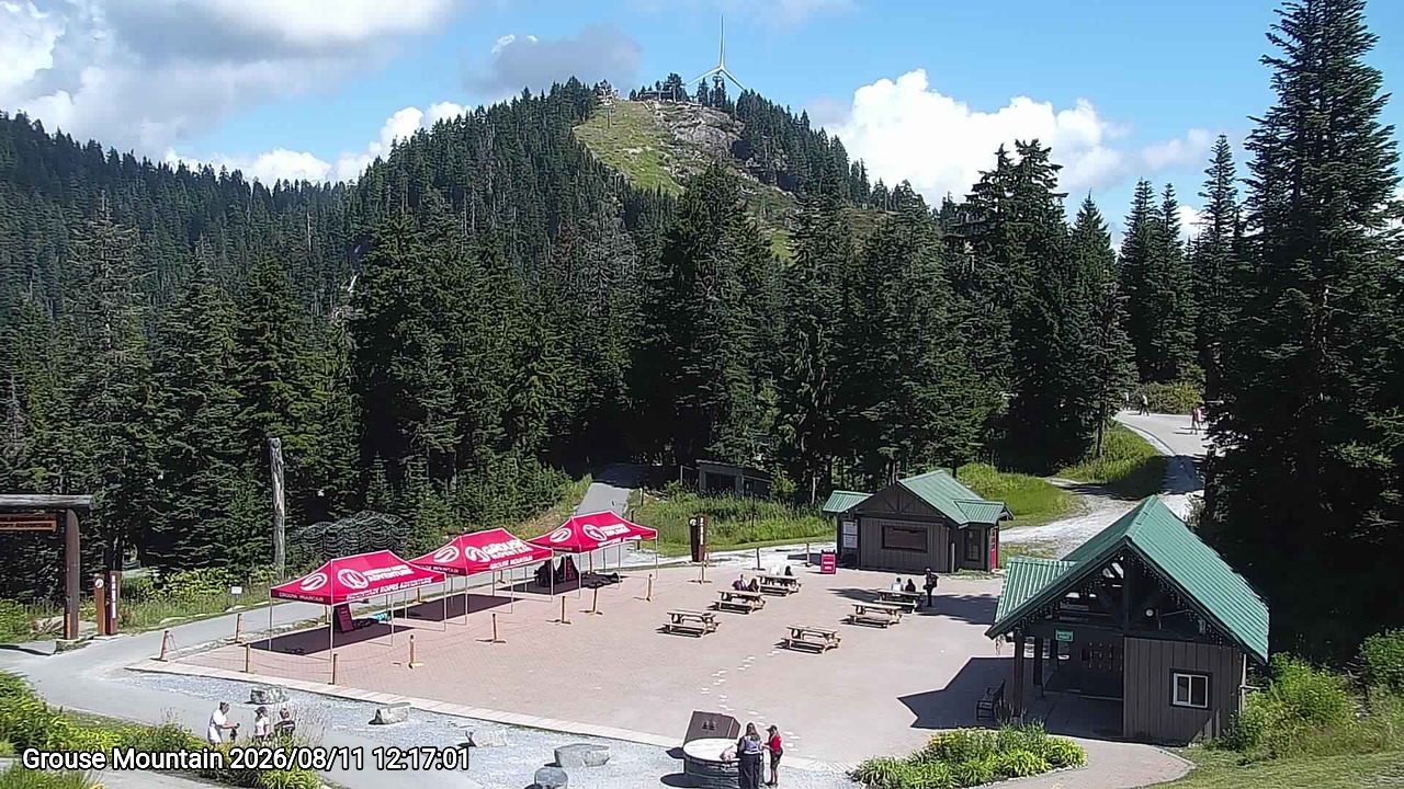 Webcam frame from Grouse Mountain at 2026/08/11 12:00