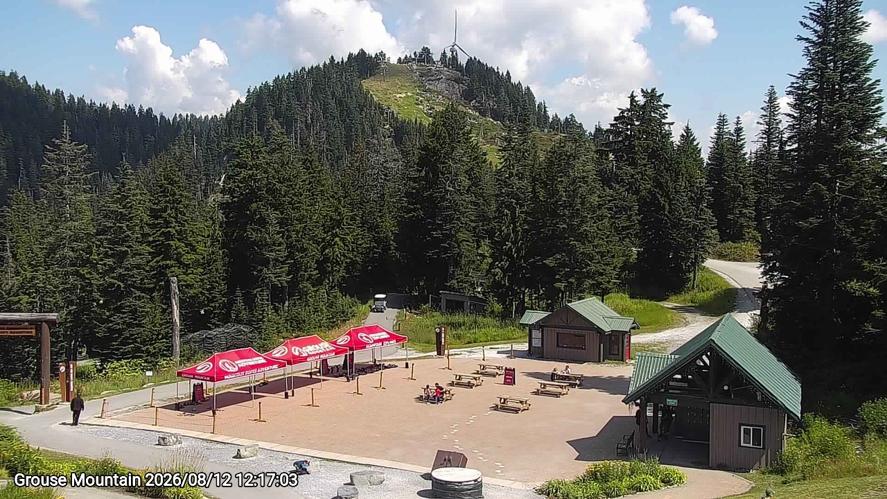 Webcam frame from Grouse Mountain at 2026/08/12 12:00