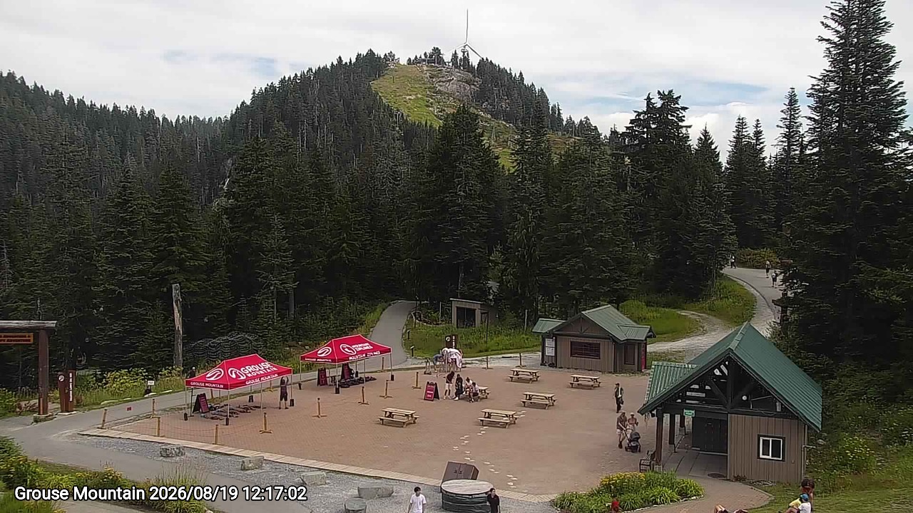 Webcam frame from Grouse Mountain at 2026/08/19 12:00