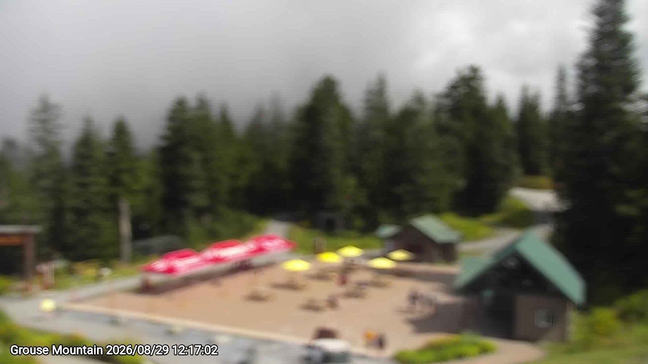 Webcam frame from Grouse Mountain at 2026/08/29 12:00