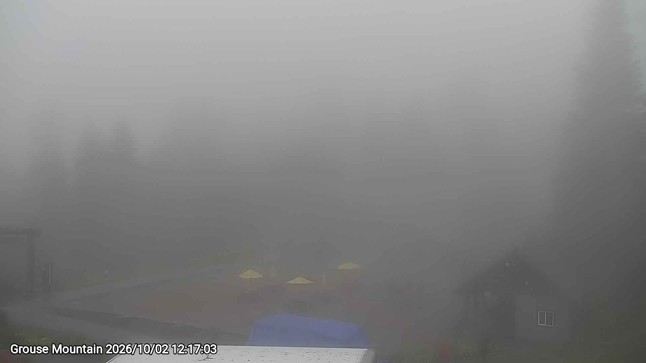 Webcam frame from Grouse Mountain at 2026/10/02 12:00