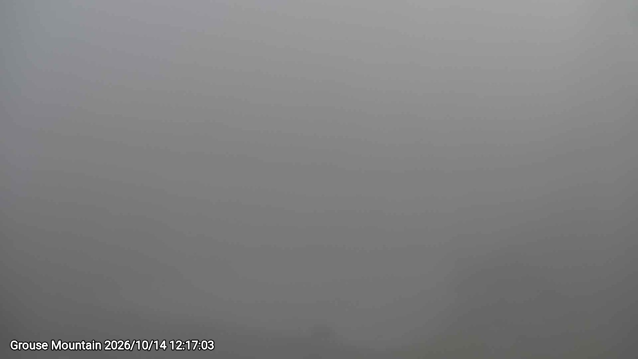 Webcam frame from Grouse Mountain at 2026/10/14 12:00