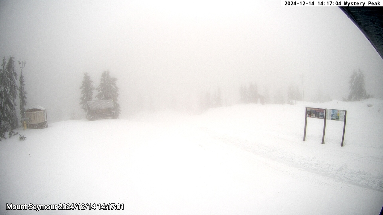 Webcam frame from Mount Seymour on 2024/12/14