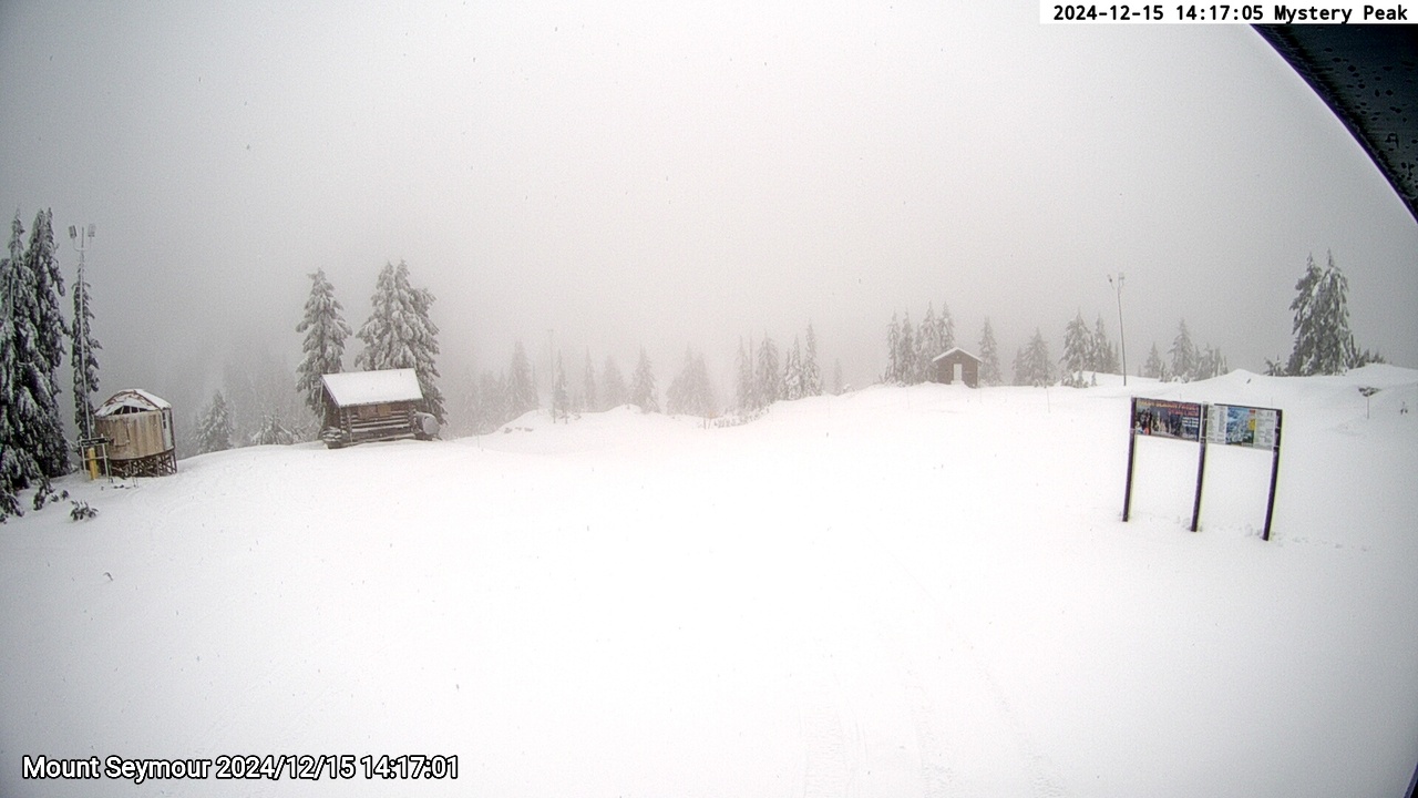 Webcam frame from Mount Seymour on 2024/12/15