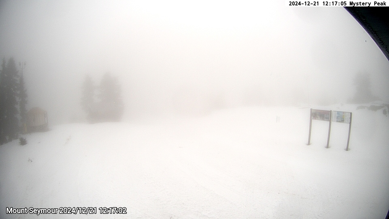 Webcam frame from Mount Seymour at 2024/12/21 12:00