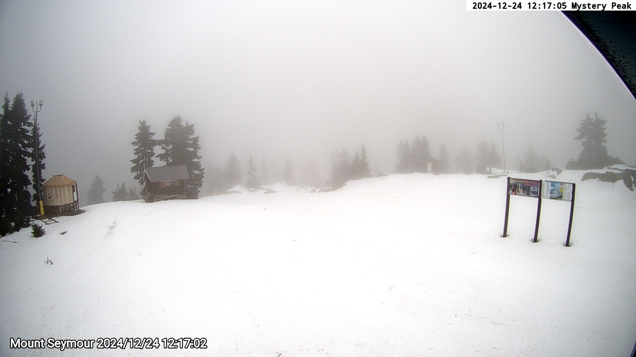 Webcam frame from Mount Seymour at 2024/12/24 12:00
