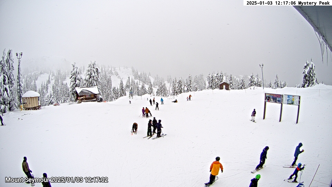 Webcam frame from Mount Seymour at 2025/01/03 12:00