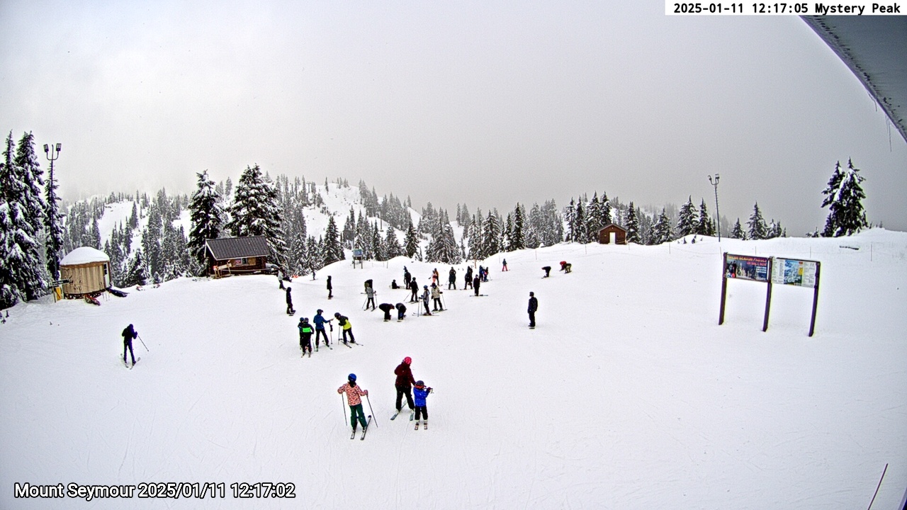 Webcam frame from Mount Seymour at 2025/01/11 12:00