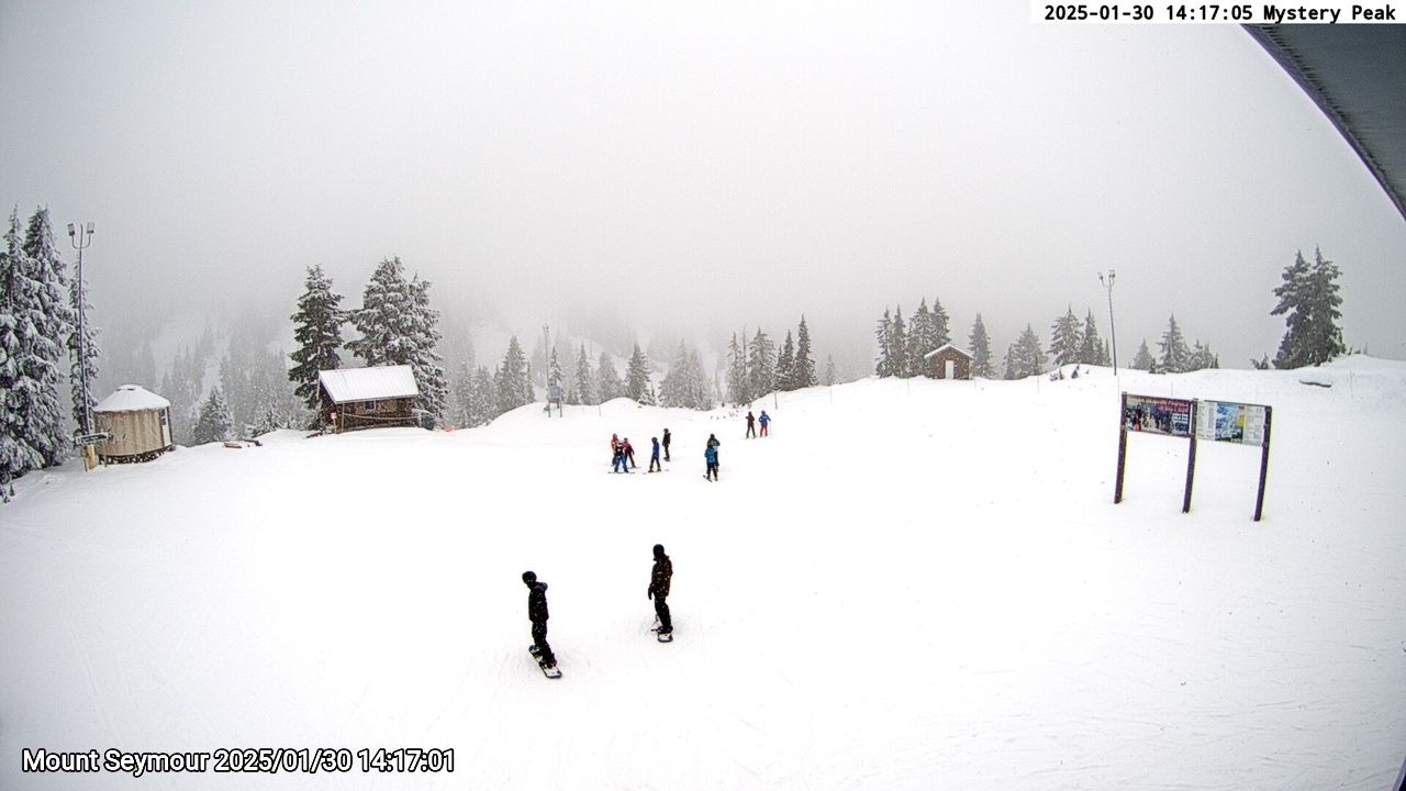 Webcam frame from Mount Seymour on 2025/01/30