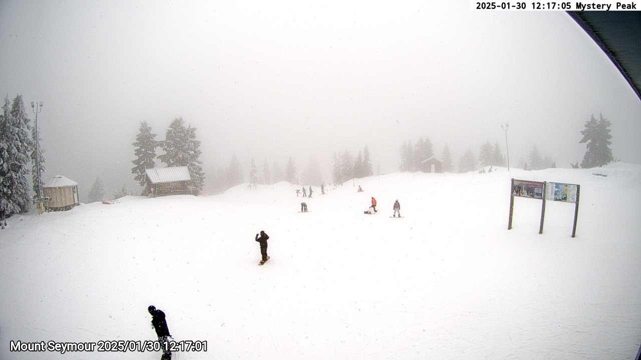 Webcam frame from Mount Seymour at 2025/01/30 12:00