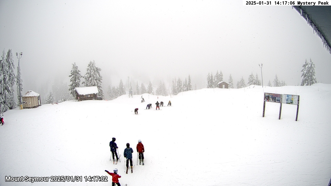 Webcam frame from Mount Seymour on 2025/01/31