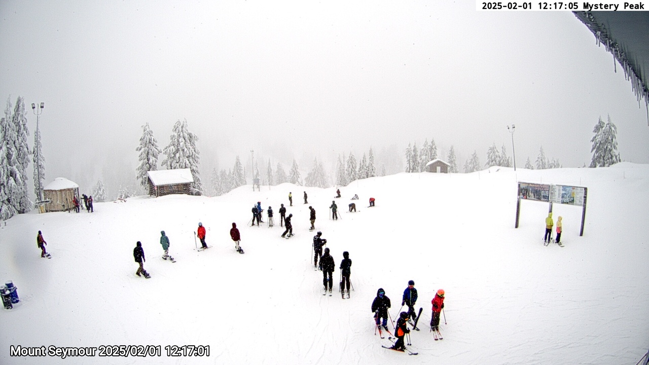 Webcam frame from Mount Seymour at 2025/02/01 12:00