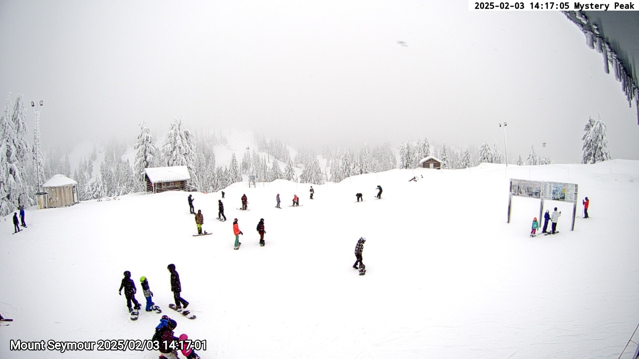 Webcam frame from Mount Seymour on 2025/02/03