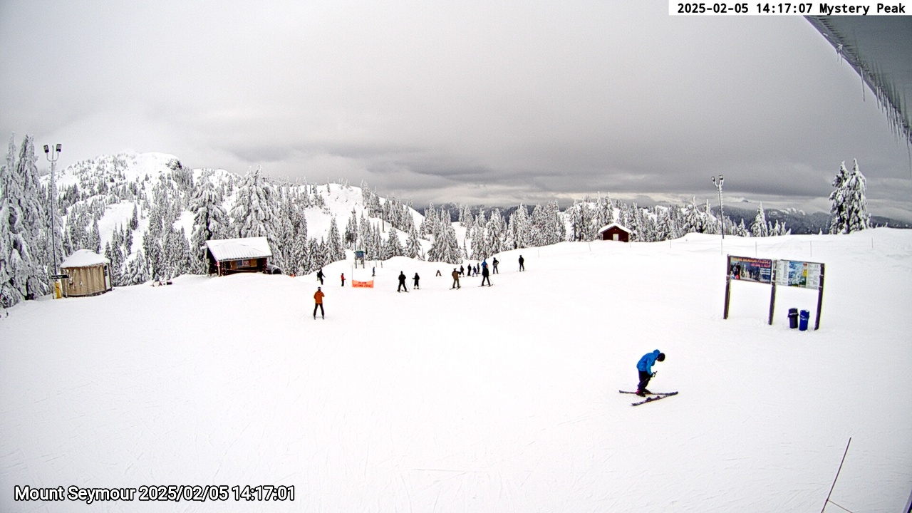 Webcam frame from Mount Seymour on 2025/02/05