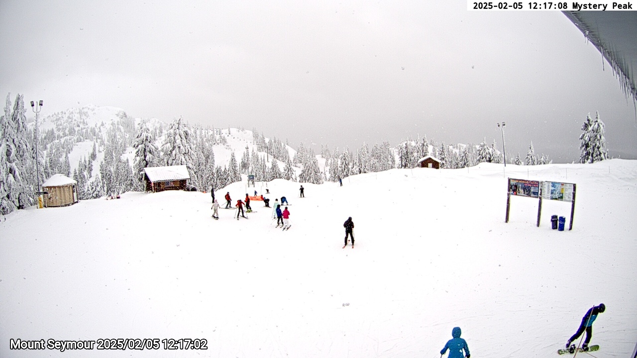 Webcam frame from Mount Seymour at 2025/02/05 12:00