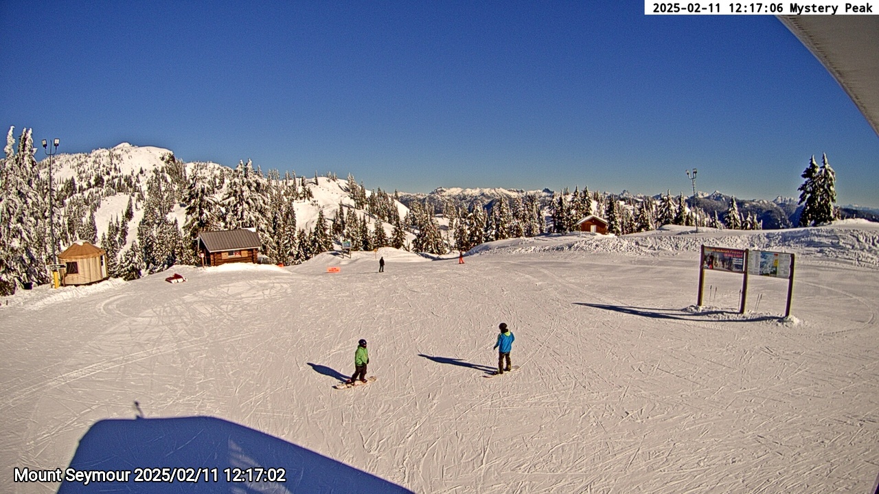 Webcam frame from Mount Seymour at 2025/02/11 12:00