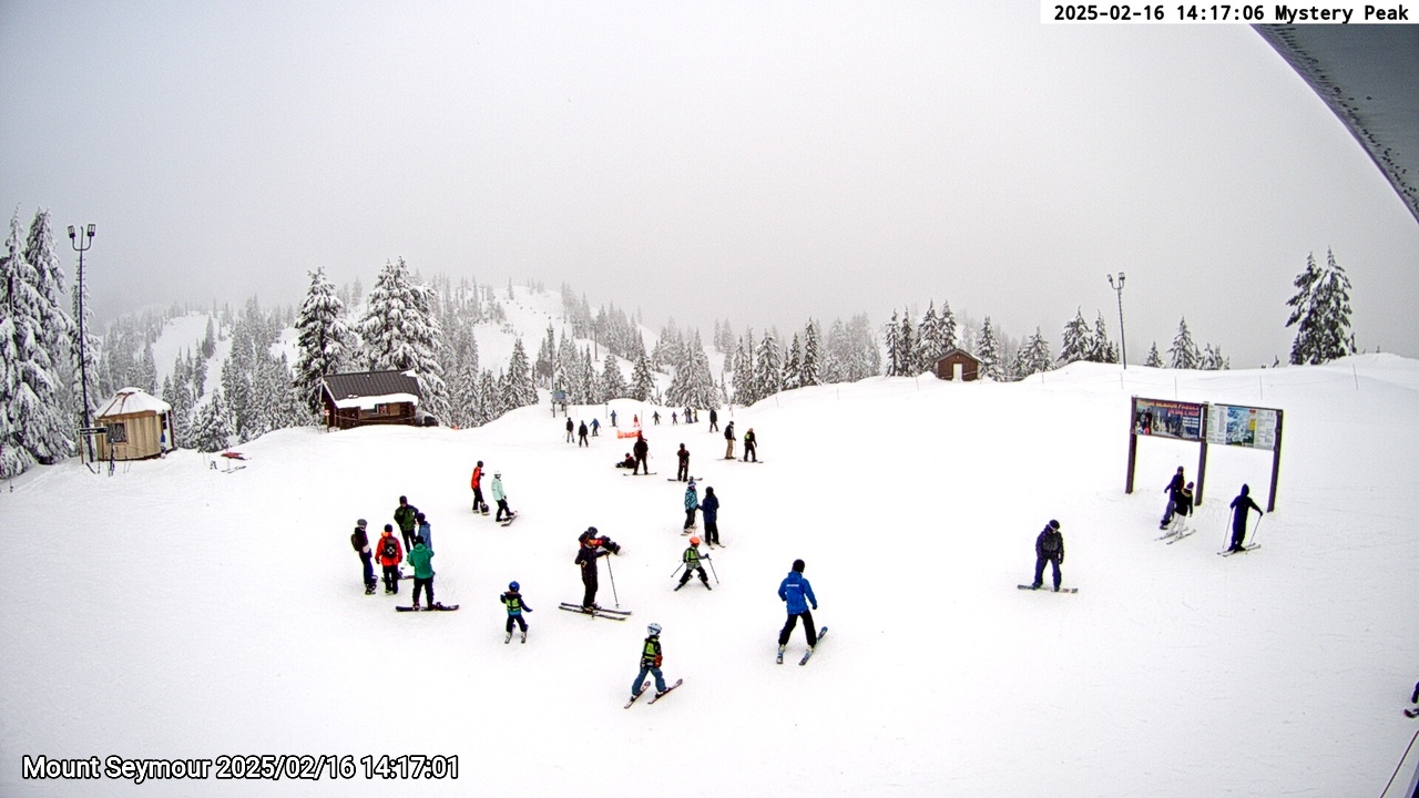 Webcam frame from Mount Seymour on 2025/02/16