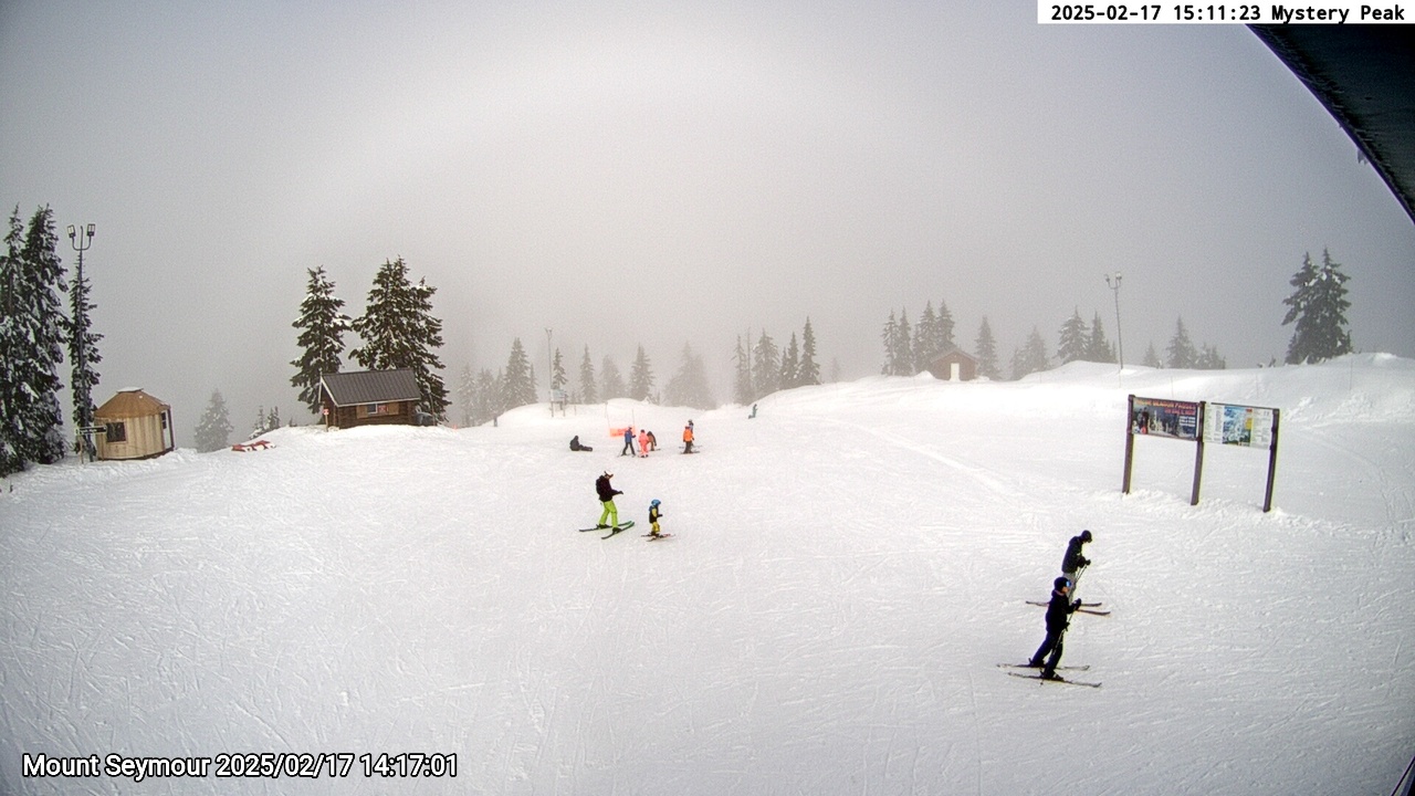 Webcam frame from Mount Seymour on 2025/02/17