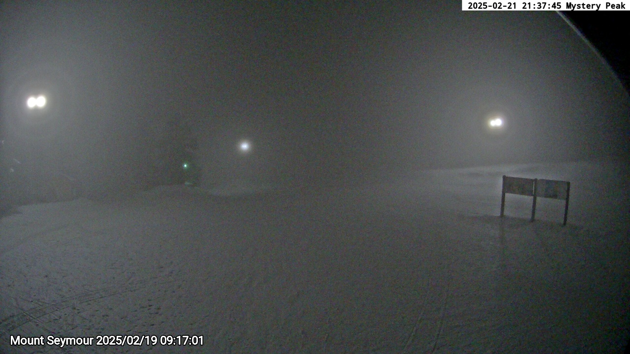 Webcam frame from Mount Seymour on 2025/02/19
