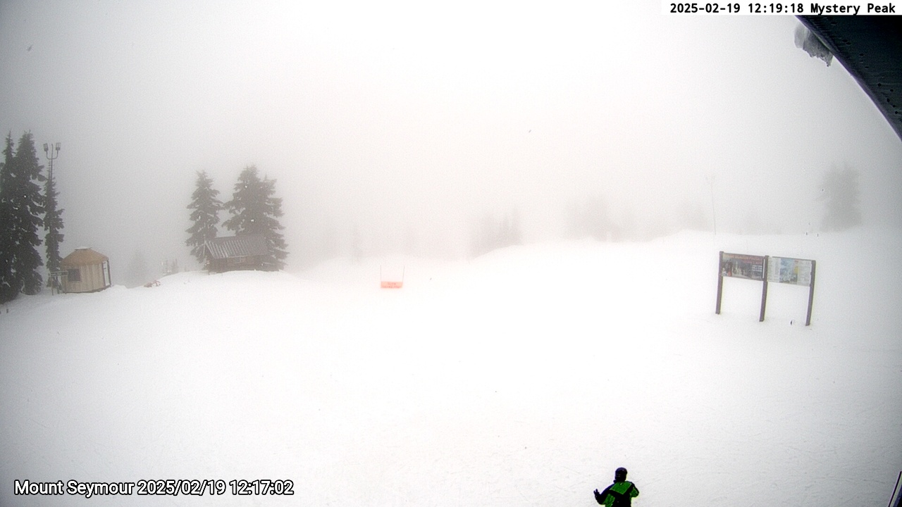 Webcam frame from Mount Seymour at 2025/02/19 12:00