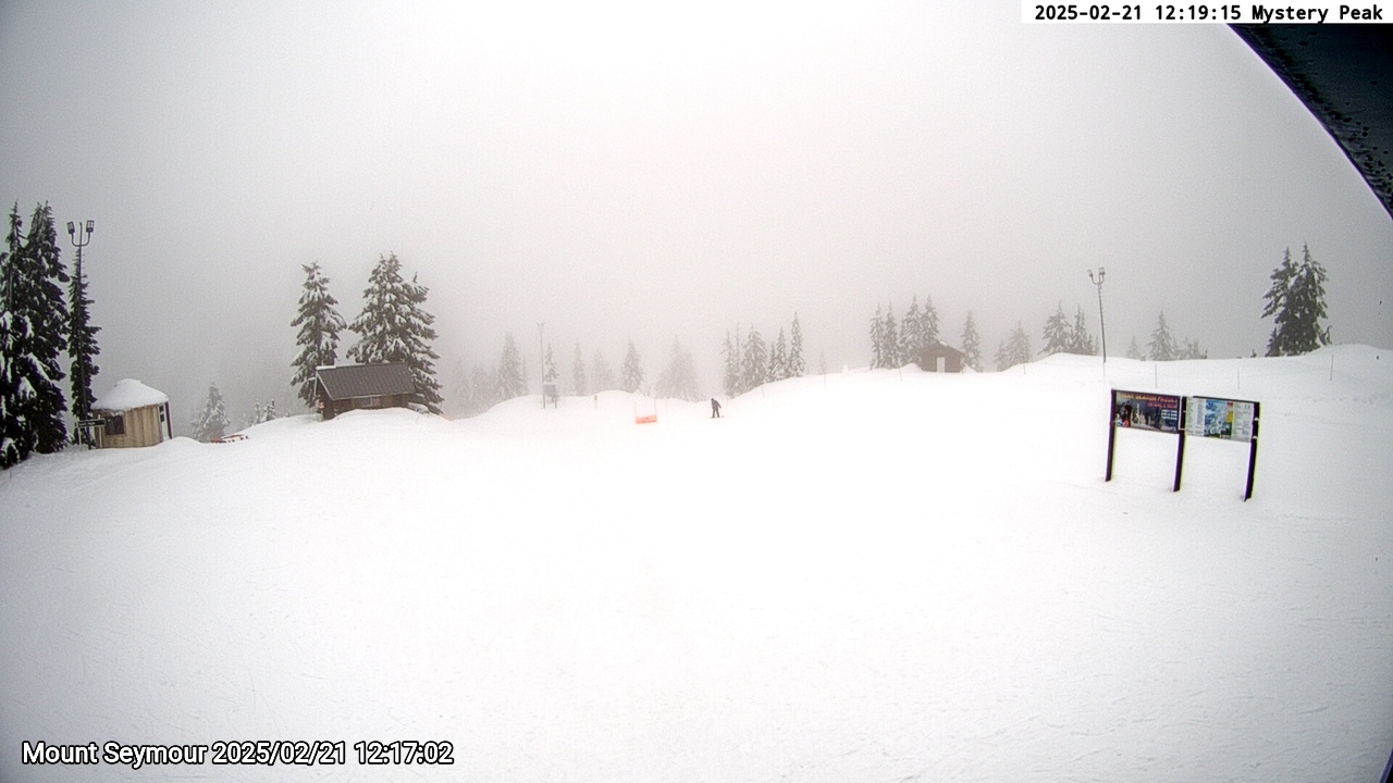 Webcam frame from Mount Seymour at 2025/02/21 12:00