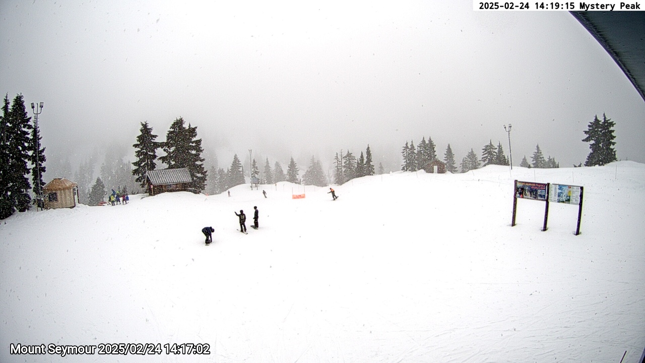 Webcam frame from Mount Seymour on 2025/02/24