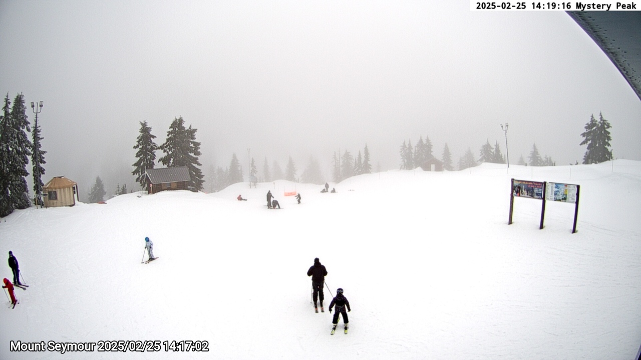 Webcam frame from Mount Seymour on 2025/02/25