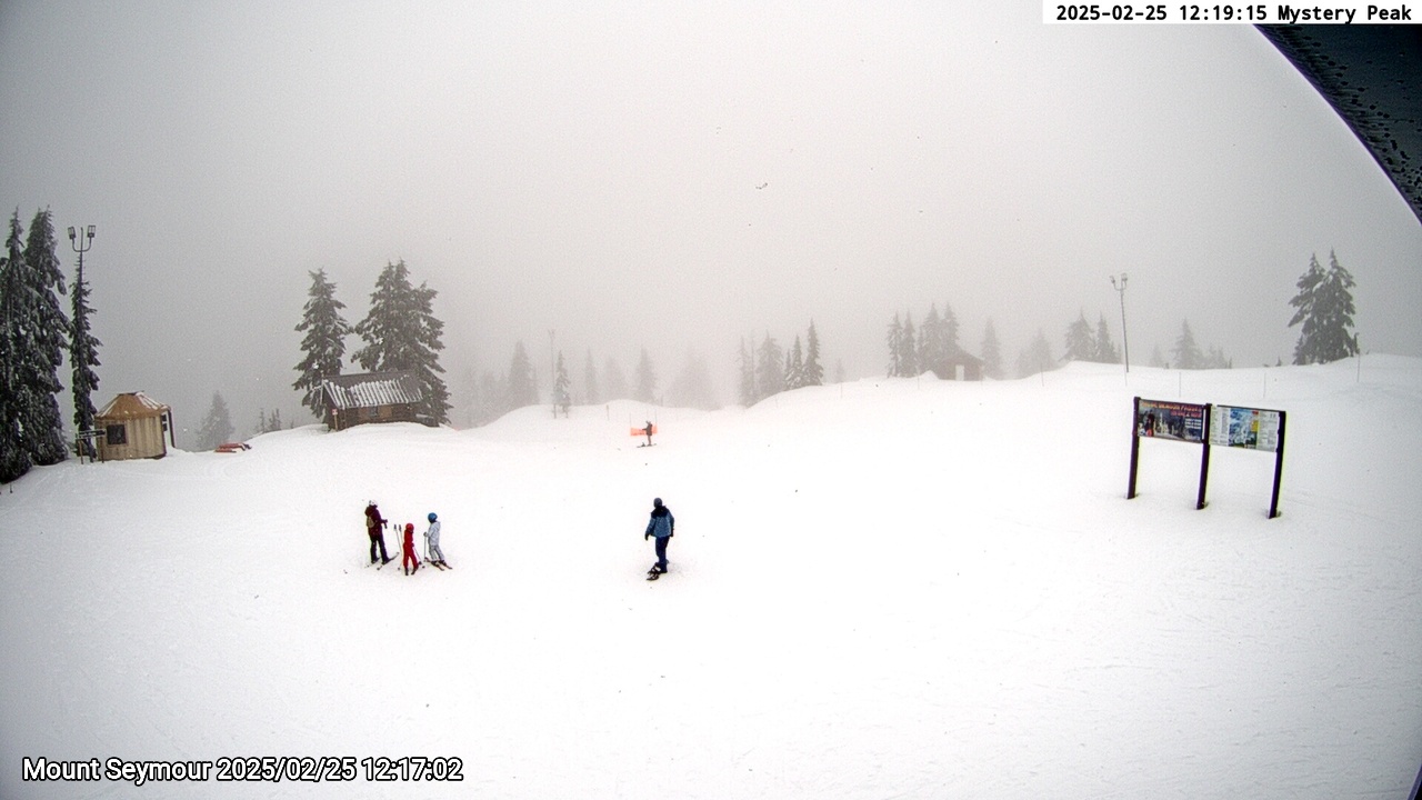 Webcam frame from Mount Seymour at 2025/02/25 12:00