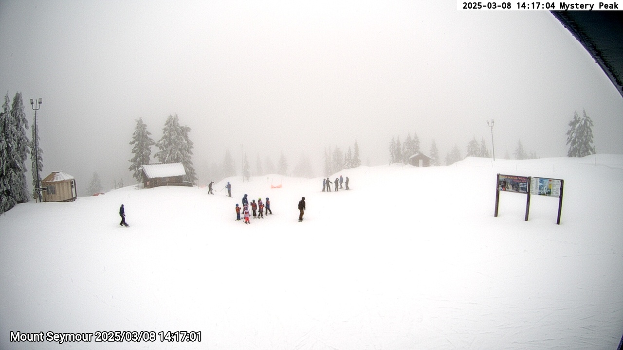 Webcam frame from Mount Seymour on 2025/03/08