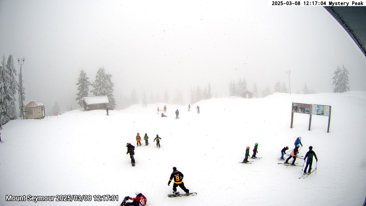 Webcam frame from Mount Seymour at 2025/03/08 12:00