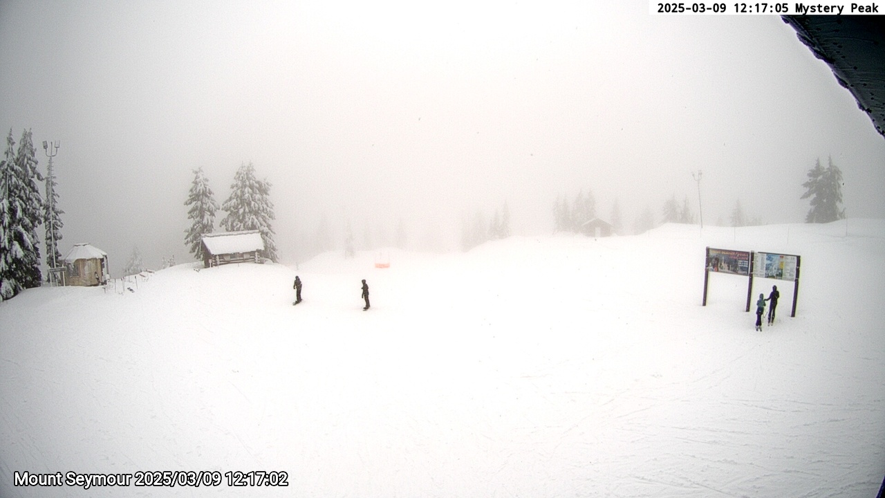 Webcam frame from Mount Seymour at 2025/03/09 12:00