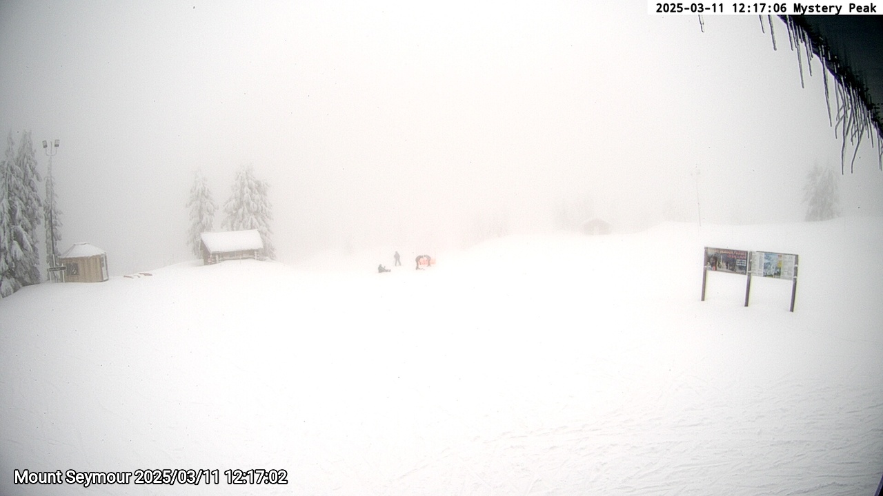 Webcam frame from Mount Seymour at 2025/03/11 12:00